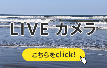 LIVEカメラ